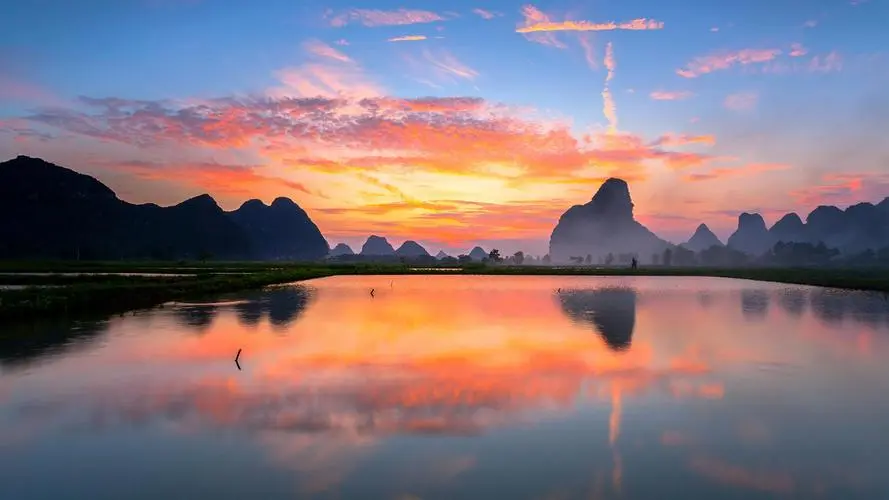 智能系统智能系统网络化